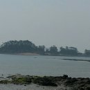 몽산포항 이미지