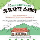 스테이유유 이미지