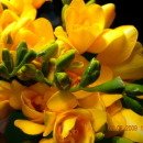 문산공인중개사사무소 이미지