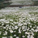 옥정호 아름다운 펜션 이미지