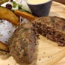 파파보노 이미지