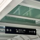 제주렌트카 비교 돌하루팡 조이렌트카 캐스퍼 추천후기