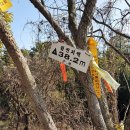 세도자원 이미지
