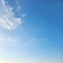 쇼펜하우어에게 배우는 인생 공부 | 쇼펜하우어의 인생 명언 / 이렇게 살면 3년 안에 반드시 인생이 핀다