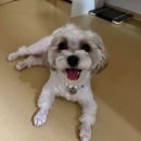 스튜디오리제이 이미지