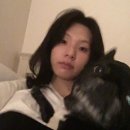 내돈내산 올드 아이폰 | 시선서울 아이폰 6s 구매후기 / 7플러스 11 13미니 15프로 사진 모음