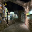 불갑사 산림박물관 이미지