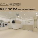 이승재동물병원 네이버블로그
