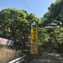 감나무집 이미지