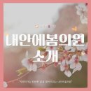 안에;봄