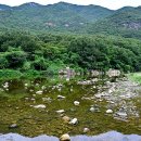 사지목나무그늘 이미지