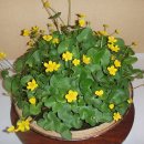 시민회관 전시실 이미지