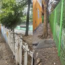 버드내초교 이미지