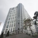 새집공인중개사사무소 이미지