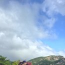 송선로-6 Daum카페