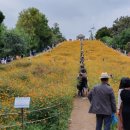 흥부공원 앞　 이미지