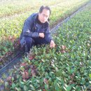 최용환농장 이미지