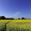 정기1농장 이미지