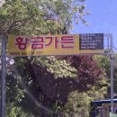 황금가든 이미지