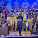 국가대표 송기석 퍼스널트레이닝 이미지