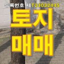 양산시 서창 택지내 토지 매매 제T23032445 이미지