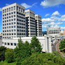 에나로 128번길 이미지