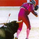 고봉이네 이미지