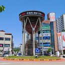 영동교육청 앞 | 영동 당일치기 기차 여행 (뚜벅이 코스, 순환버스)