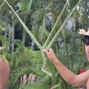 알로하~우클렐레 | HI 2day 안녕 하와이 오하우 2일차 액티비티 거북이스노쿨링, 씨라이프파크 루아우쇼 고우시티 이용 후기