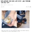 장애 남학생에 "꽁초 넣은 소변 마셔라" 시킨 울산 여중생들 이미지