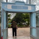 여미지 | 제주 여미지식물원 임산부 태교여행 코스 다녀온 후기
