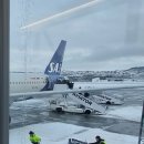 V I P 당구장 | [북유럽 여행] SAS 항공 인천-코펜하겐-트롬소 왕복 후기 (기내식, 좌석, 수하물, 마일리지)