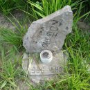 진밭골산림욕장 이미지