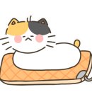 태영메디칼 이미지