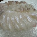 앗싸횟집