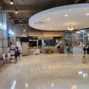 지니펫 애견미용실 이미지