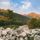 인제행정사사무소 이미지