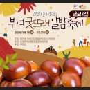 은산농장 | 충남 부여 오곡백과 은산밤 유기농알밤 압력밥솥으로 햇밤 삶는 방법 가을 간식 맛있게 먹는 레시피