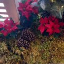 주식회사 농협하나로유통 이미지