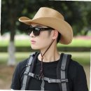 보리카우 이미지