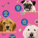 디해피