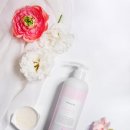 펫부띠끄 이미지