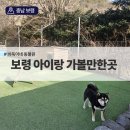대천해수욕장당나귀체험 | 보령 아이랑 가볼만한곳｜개화예술공원 바둑이네 동물원