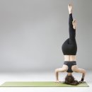 퍼스트원 휘트니스 이미지