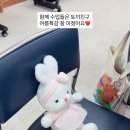 상상소리 in 영어그림책 | 석수 글로벌 도서관 출강 여름 영어그림책 추천 4권