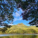 다희펜션 이미지