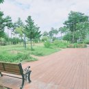 마애솔숲공원 이미지