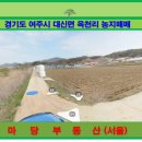 여주-1054 이미지