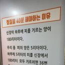 이엔아이지 해독센터 이미지