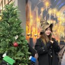 위지몰 | 커넥트현대 부산 해리포터 팝업스토어 위자드몰 포토존 굿즈 후기